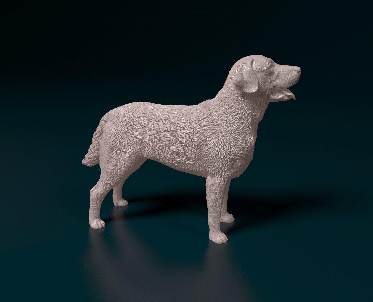Chesapeake Bay Retriever Figurine | 3D Printed Dog Statue | Waterfowl Hunting Dog Sculpture | Retriever Gift | Free Worldwide Shipping