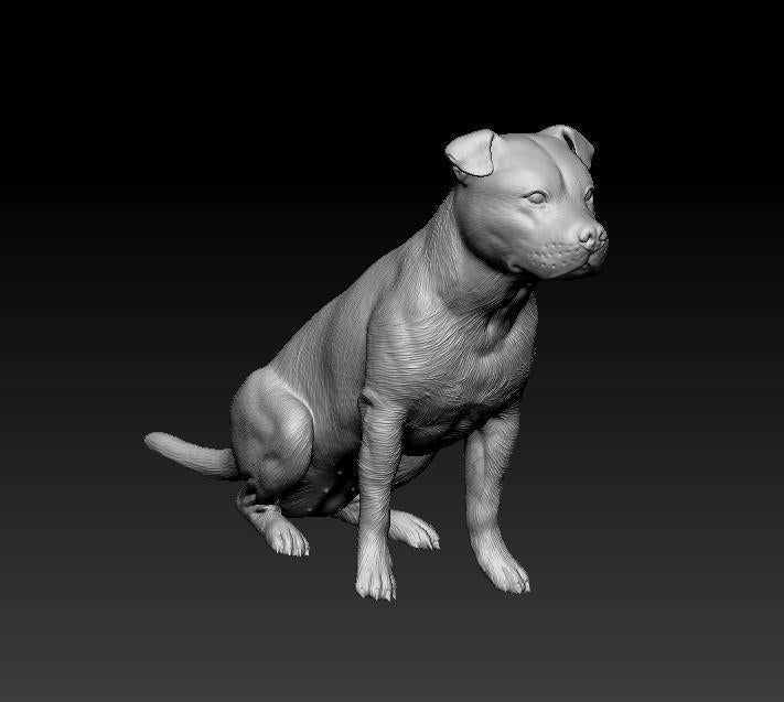 Staffordshire bull terrier sitting Dog Figurine - 3D Printed