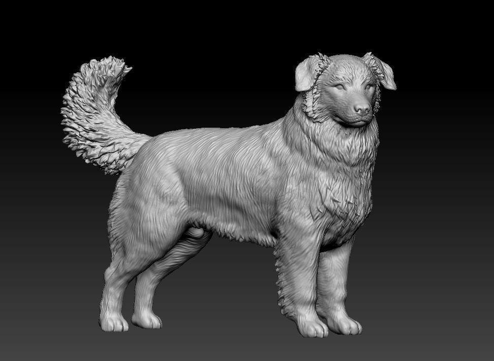 Australian Shepherd Dog Statue | Standing Aussie Figurine | 3D Printed Dog Model | Herding Dog Gift | Pet Memorial Sculpture
