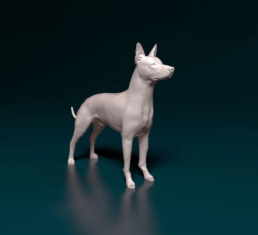 Xoloitzcuintle Dog Figurine | 3D Printed Mexican Hairless Statue | Xolo Sculpture | Unique Pet Memorial Gift | Aztec Dog Decor