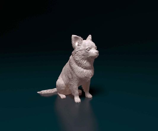 3D Printed  Chihuahua long-haired Dog  Figurine -